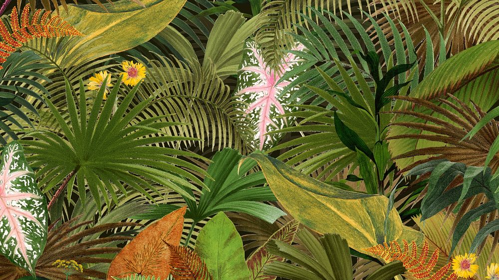 Tropical palm trees HD  wallpaper, leaf illustration