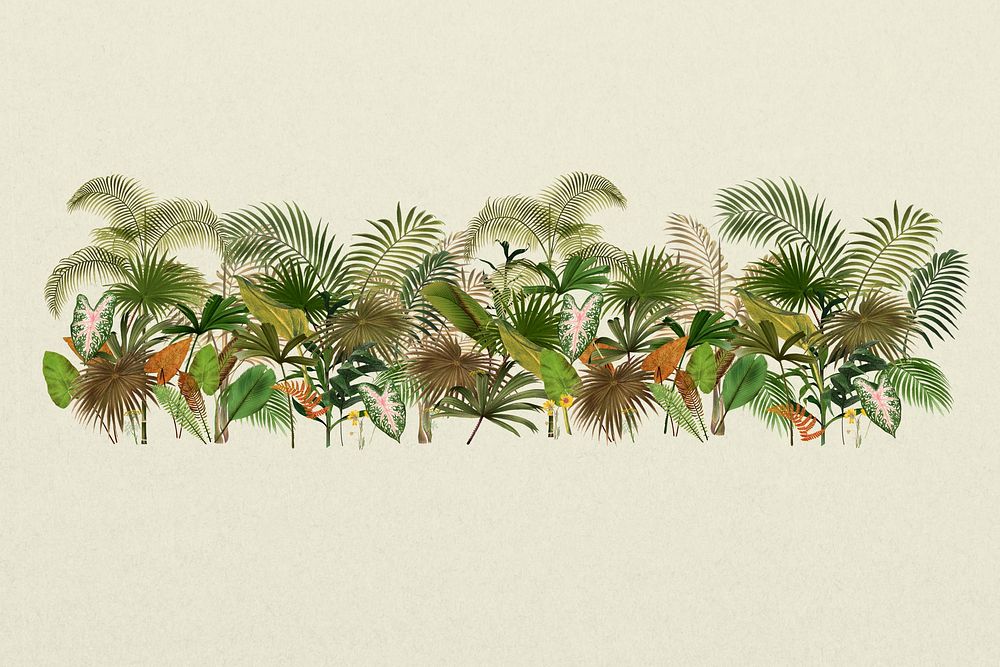 Tropical palm trees divider illustration