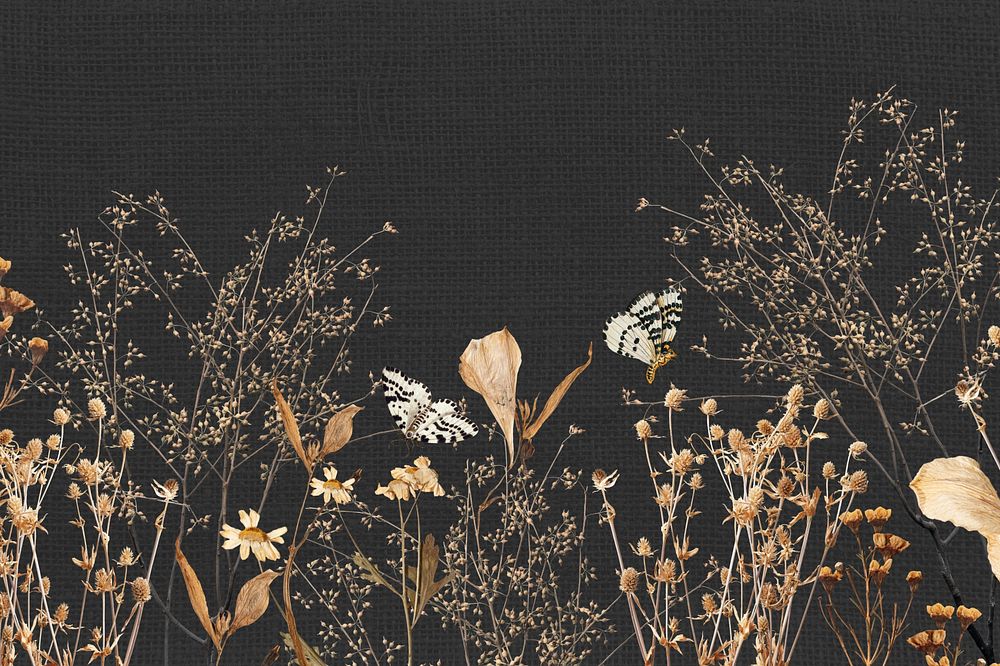 Aesthetic autumn flower background, seasonal botanical illustration