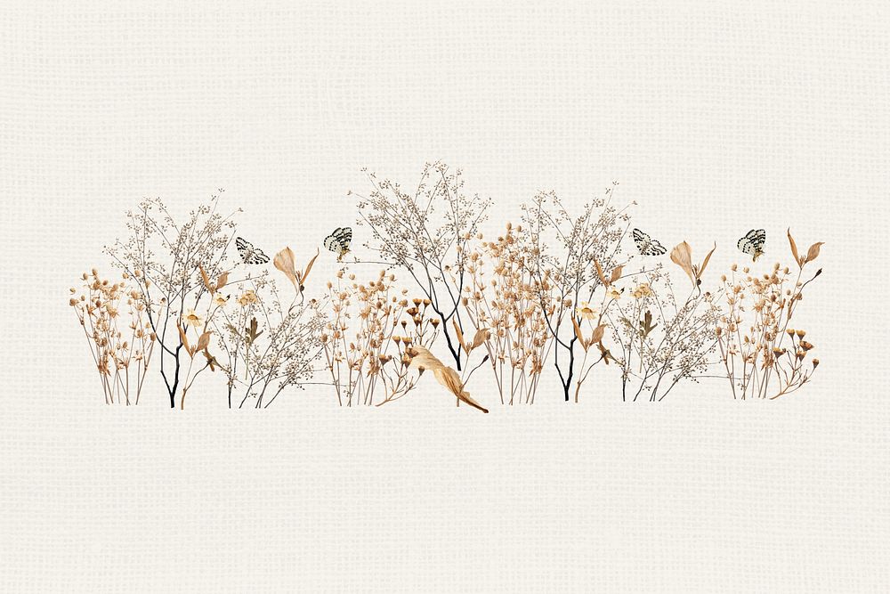 Autumn leaf branch divider, seasonal aesthetic illustration