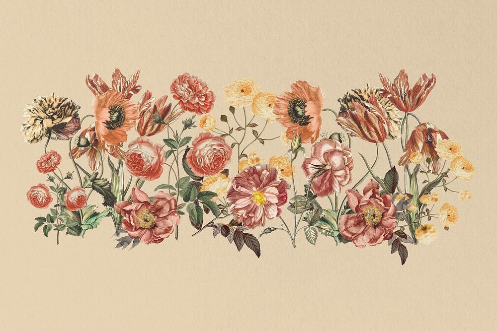 Feminine pink flower divider, vintage botanical illustration