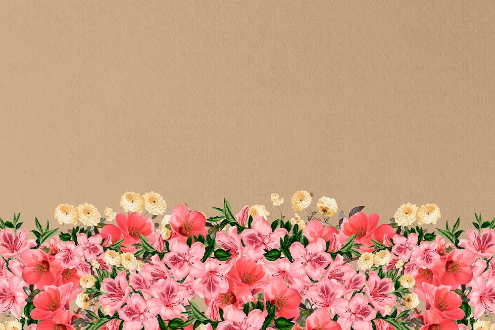 Brown azalea flowers background, pink botanical border