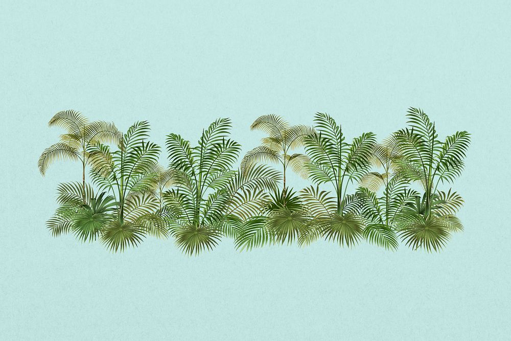 Tropical palm trees divider illustration