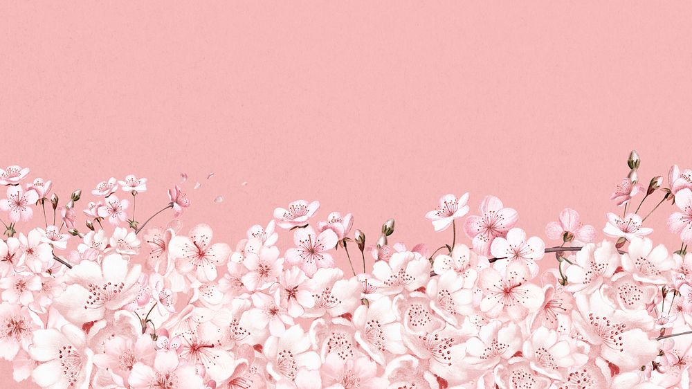 Japanese sakura flower desktop wallpaper, | Premium Photo - rawpixel