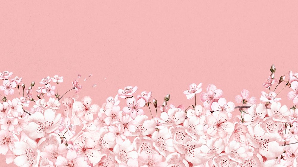 Japanese sakura flower desktop wallpaper, pink botanical background