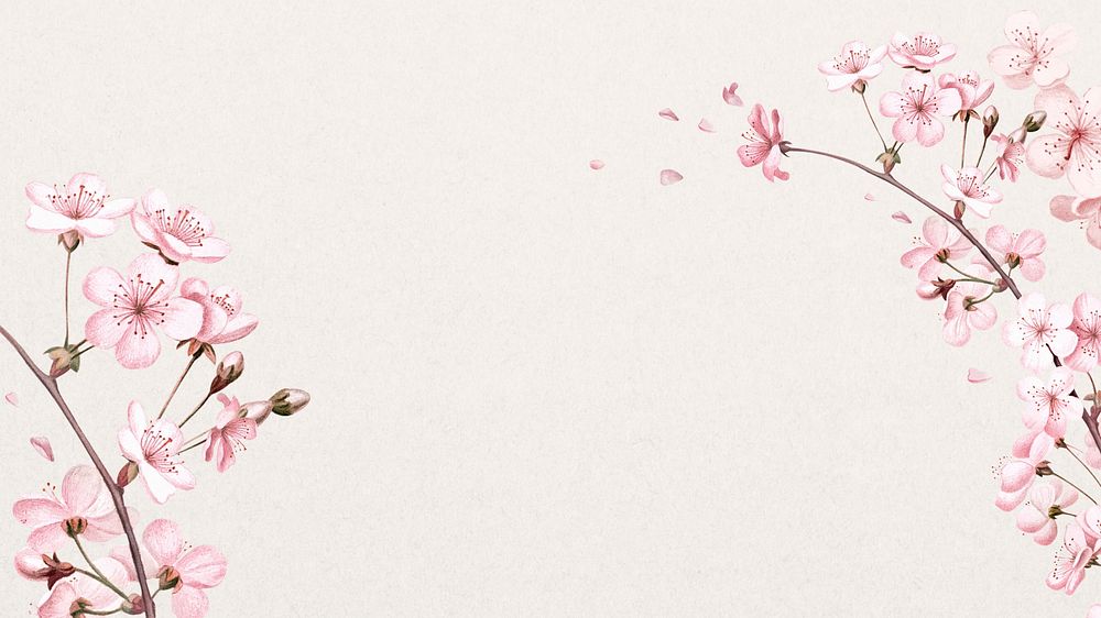 Japanese cherry blossom HD wallpaper, | Premium Photo - rawpixel