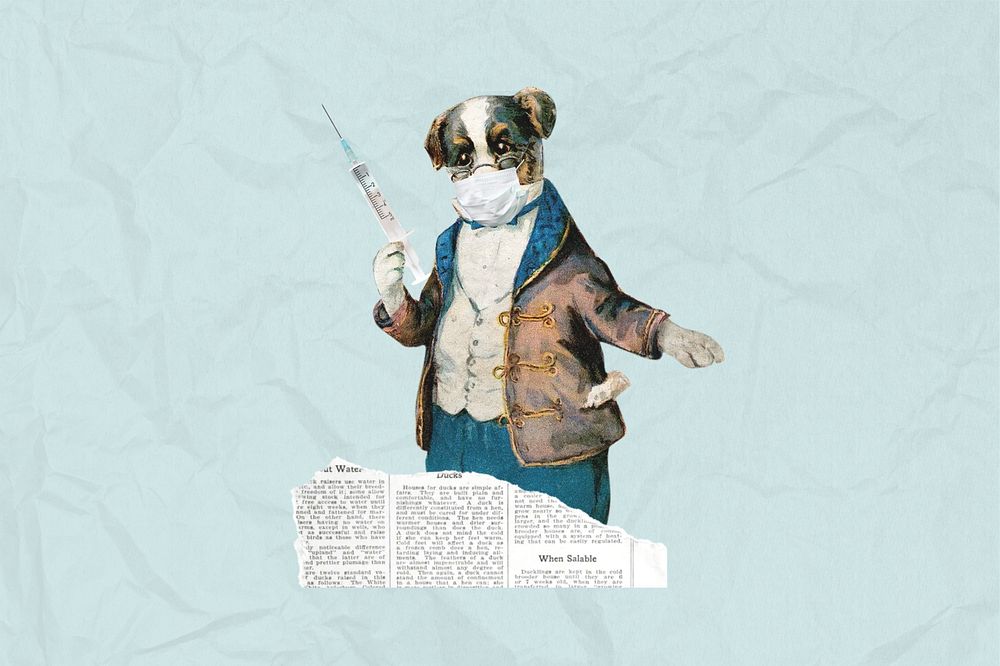 Dog holding needle, healthcare. Remixed by rawpixel.