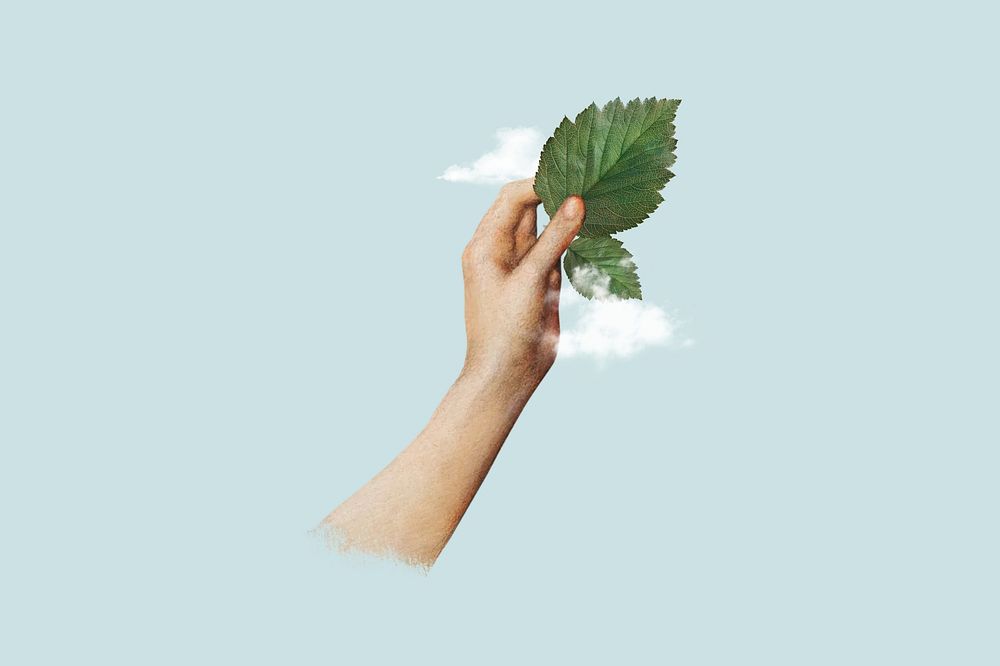 Hand holding leaf, clean air. Remixed by rawpixel.