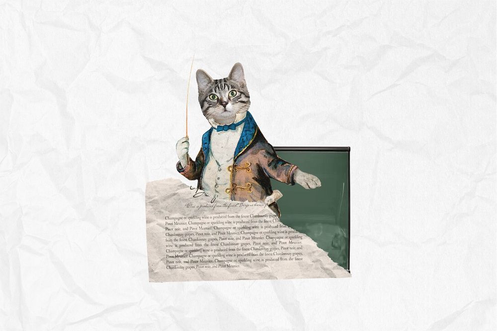 Cat dressed as teacher, education collage. Remixed by rawpixel.