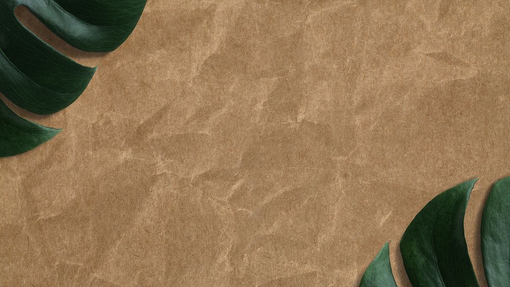 Crumpled paper texture desktop wallpaper, monstera leaf border