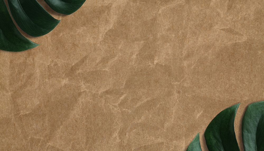 Crumpled paper texture background, monstera leaf border