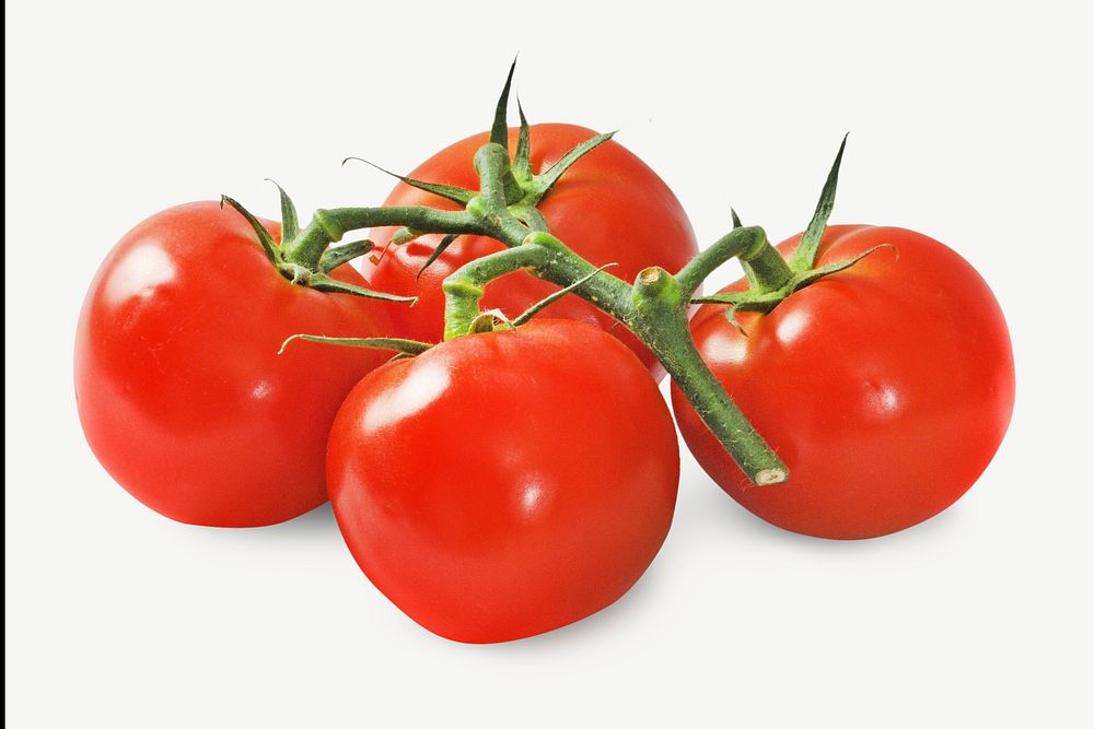 Cherry tomato design element psd