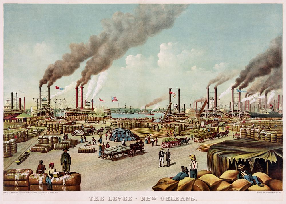 The levee, New Orleans (1854) by William A. Walker.