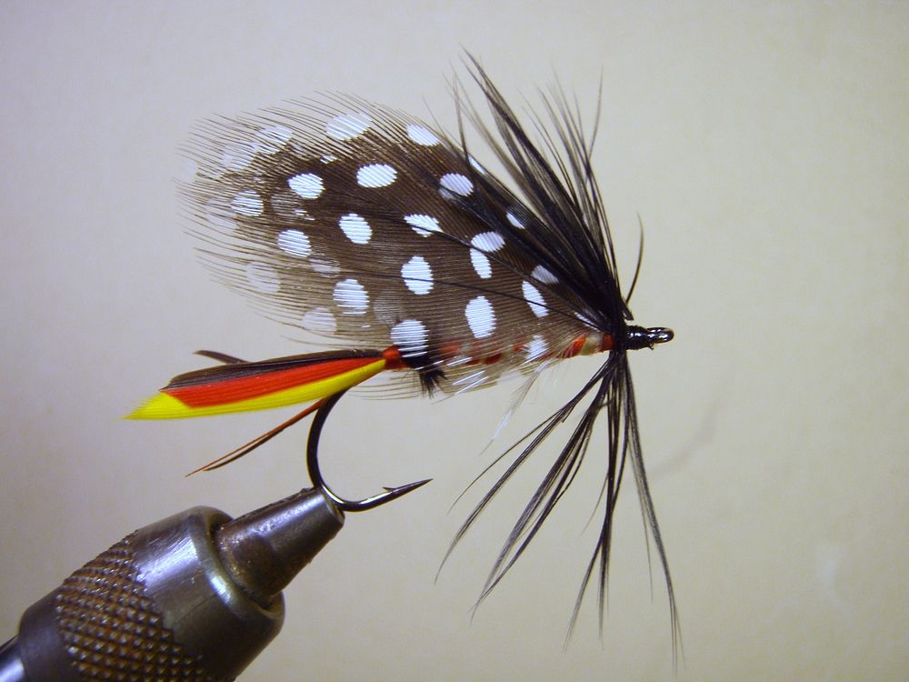 Triumph A Classic Bass Fly from Mary Orvis Marbury's Favorite Flies and Their Histories (1892)