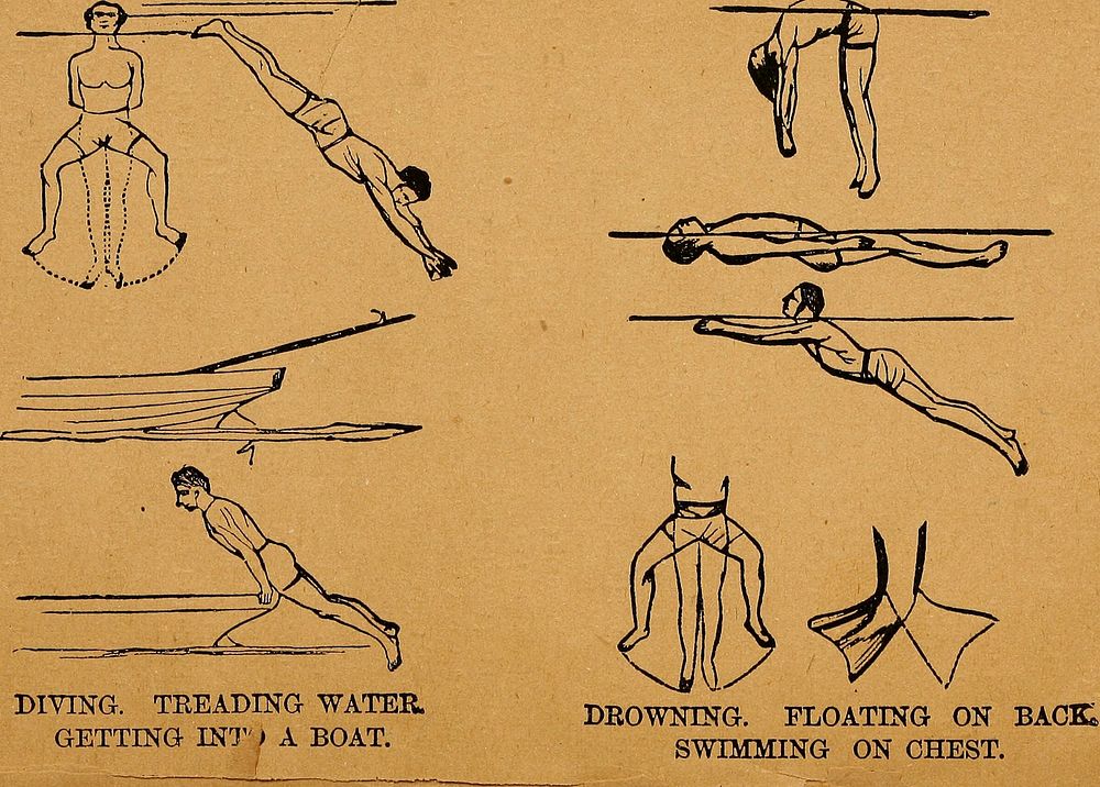 Identifier: artofboxingswimm00will (find matches)Title: The art of boxing, swimming and gymnastics made easy ..Year: 1883…