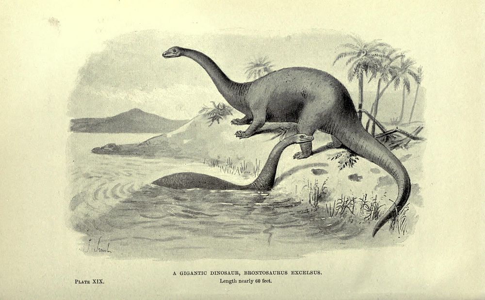 Extinct monsters and creatures of other days: a popular account of some of the larger forms of ancient animal life, by Rev.…