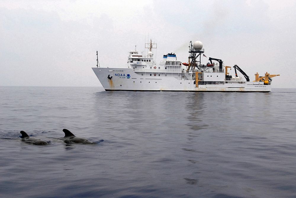 080724-N-9316F-007 PACIFIC OCEAN (July 24, 2008) Pilot whales surface off the coast of Kona, Hawaii, with the NOAA ship…