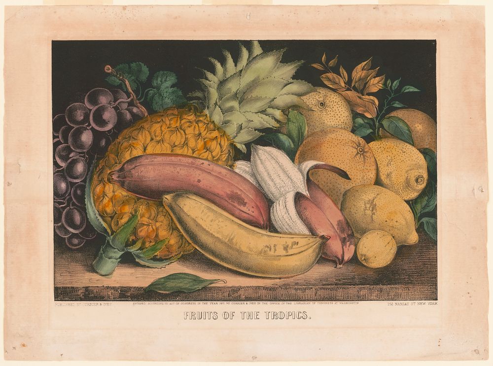 Fruits of the tropics (1871) by Currier & Ives