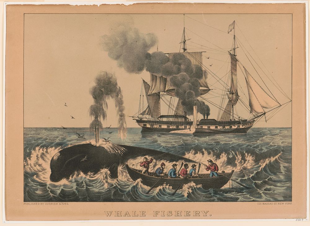 Whale fishery: attacking a right whale (1856) by Currier & Ives 