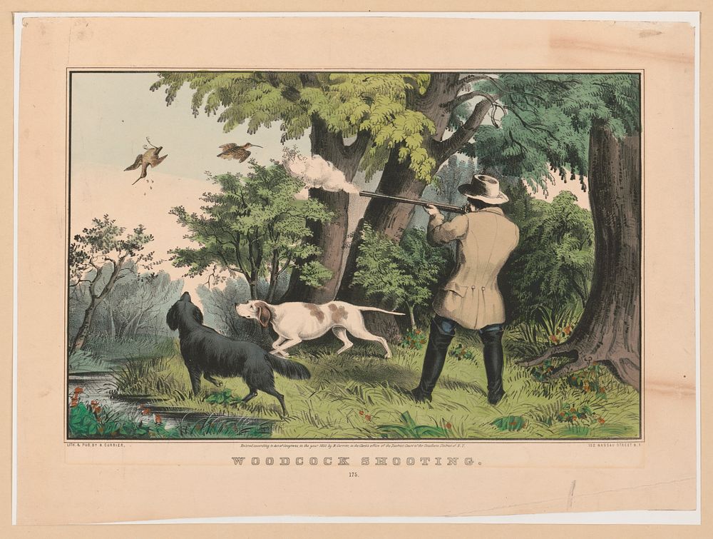 Woodcock shooting (1855) by N. Currier