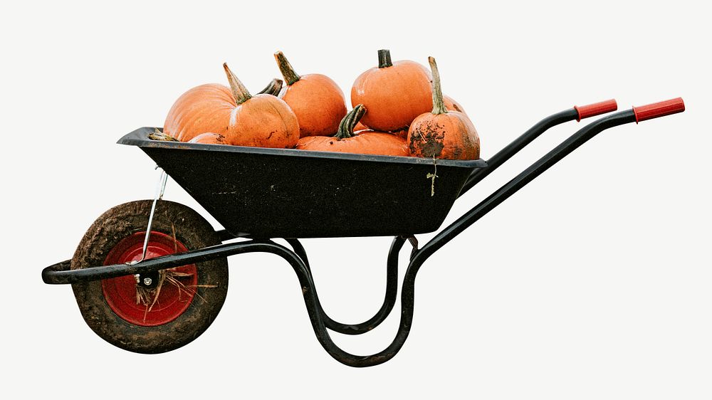Pumpkins wheelbarrow healthy food psd