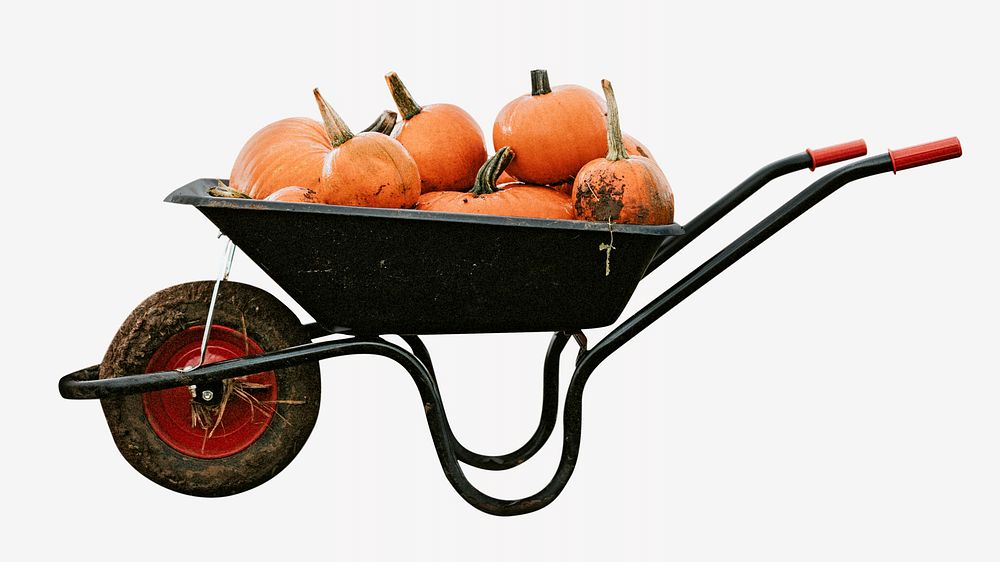 Pumpkins wheelbarrow, isolated design