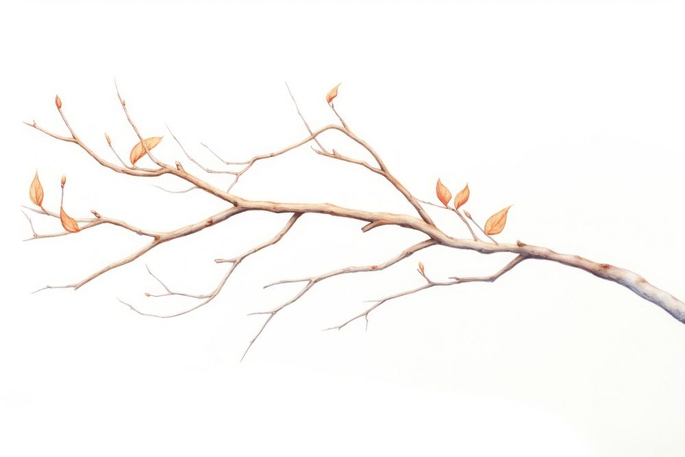 Branch drawing sketch plant. AI generated Image by rawpixel.
