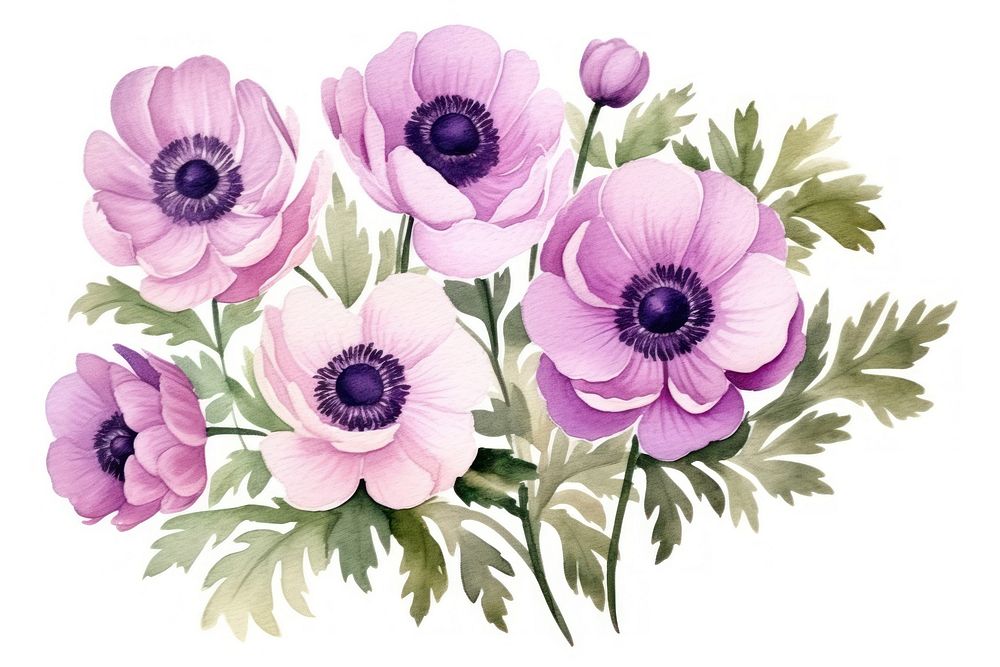 Drawing anemone flower plant. AI generated Image by rawpixel.