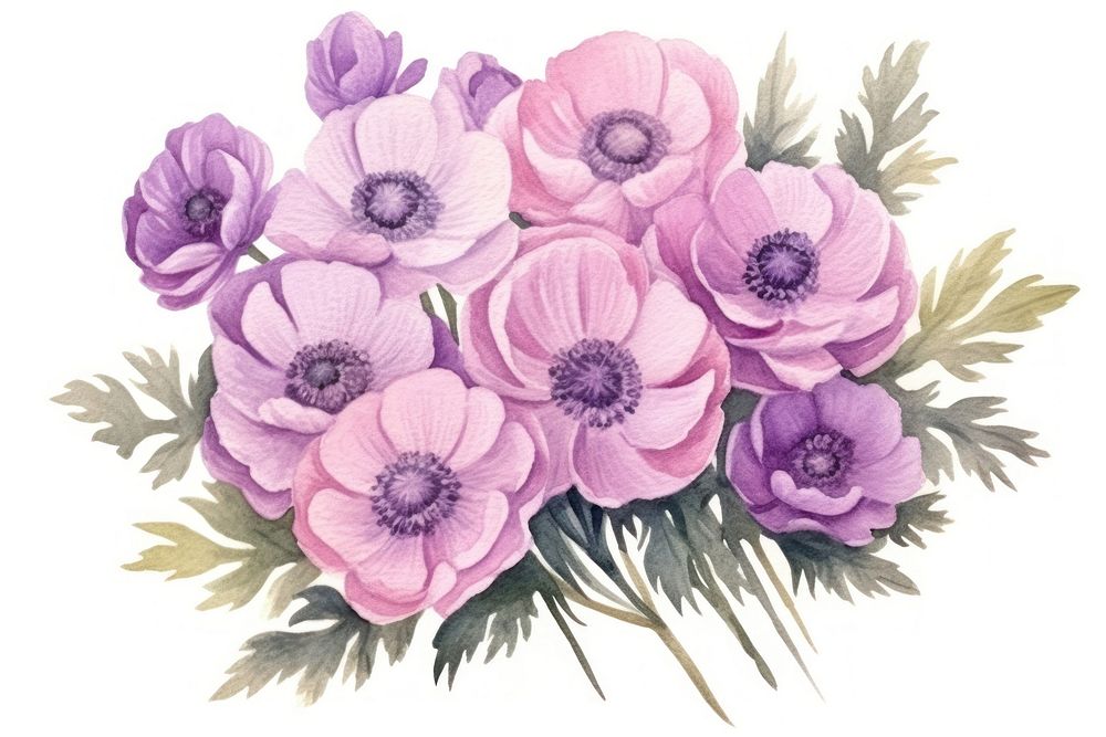Drawing anemone flower sketch. AI generated Image by rawpixel.
