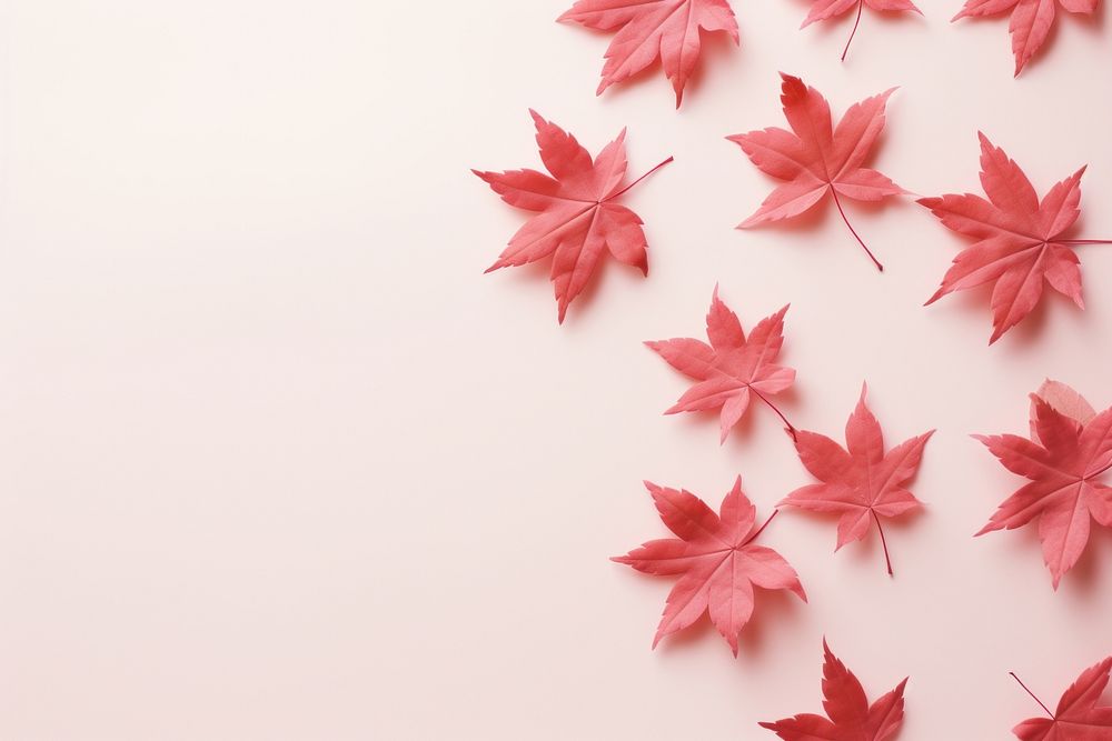 Maple leaves backgrounds plant leaf. AI generated Image by rawpixel.