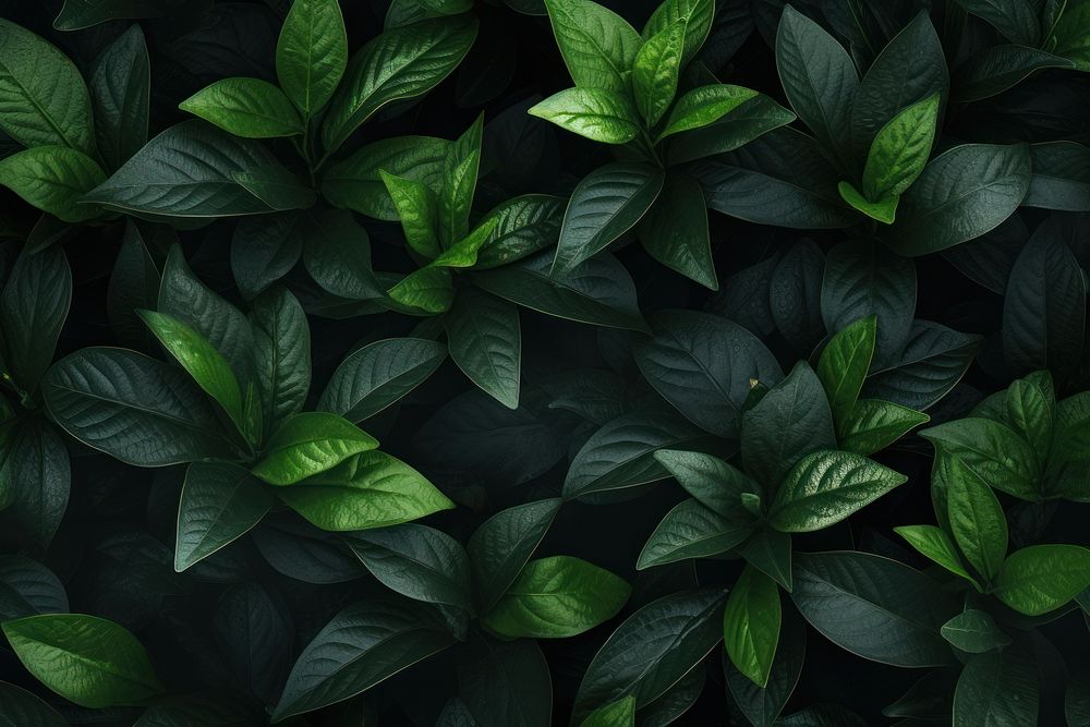 Leaves backgrounds plant green. AI generated Image by rawpixel.