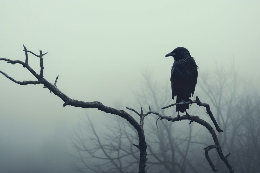 Crow branch animal mist. AI generated Image by rawpixel.