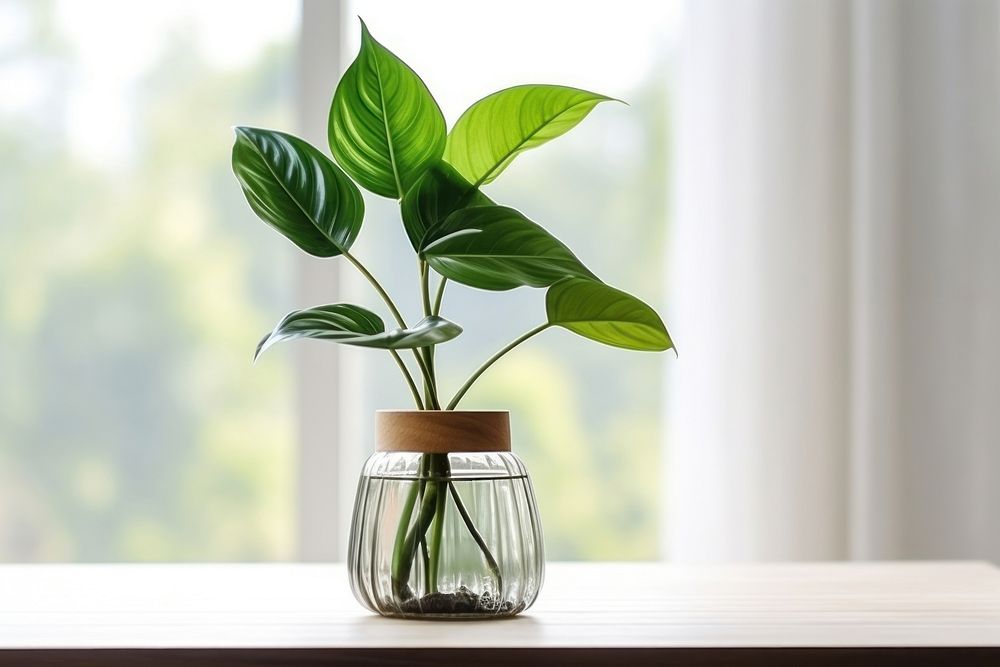 Home decoration plant windowsill glass. AI generated Image by rawpixel.