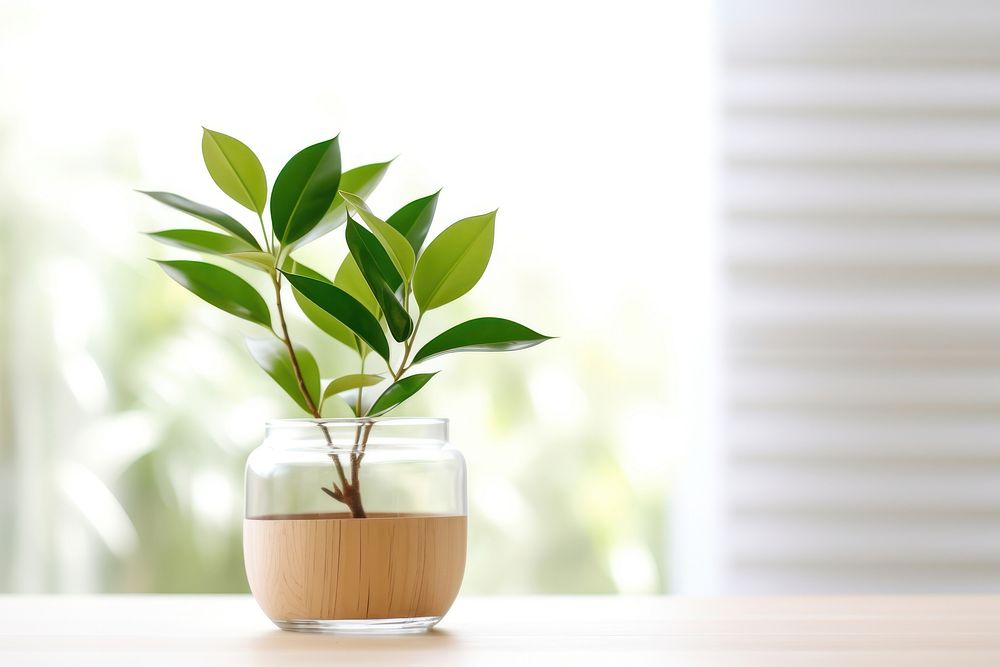 Decoration plant table glass leaf. AI generated Image by rawpixel.