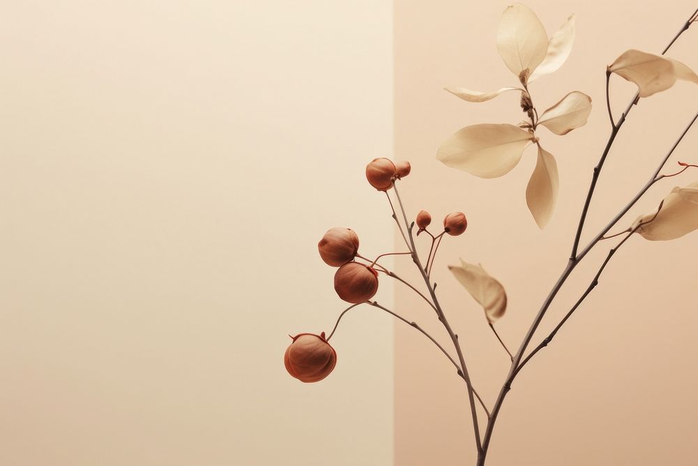 Botanica flower plant wall. AI generated Image by rawpixel.