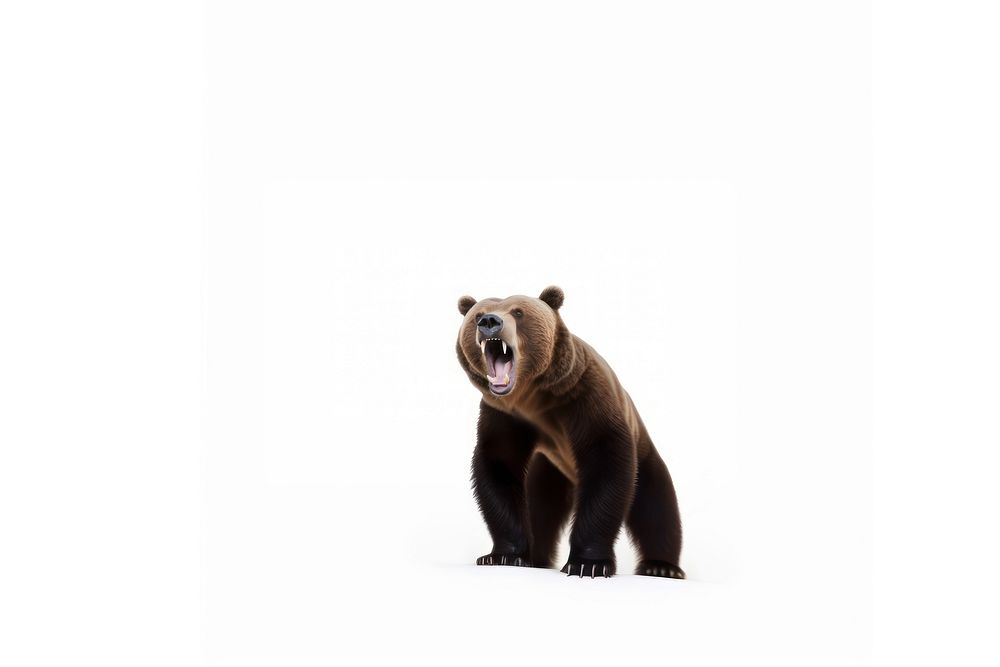 Grizzly bear wildlife animal. AI generated Image by rawpixel.