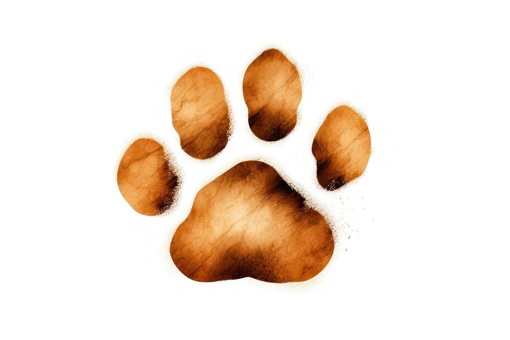 Paw white background carnivora footprint. AI generated Image by rawpixel.