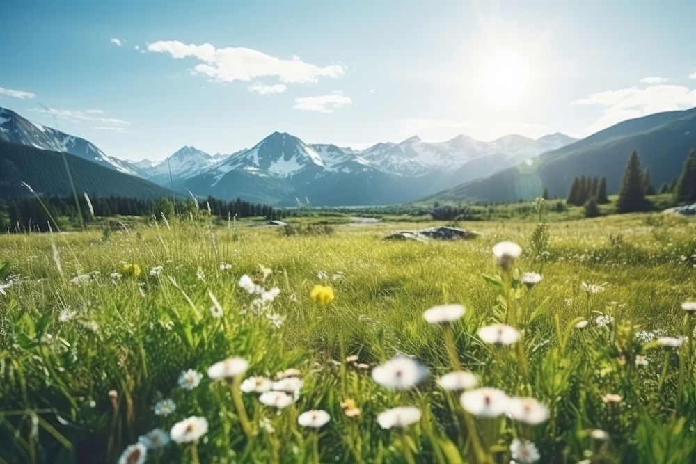 Meadow landscape grassland panoramic. AI generated Image by rawpixel.