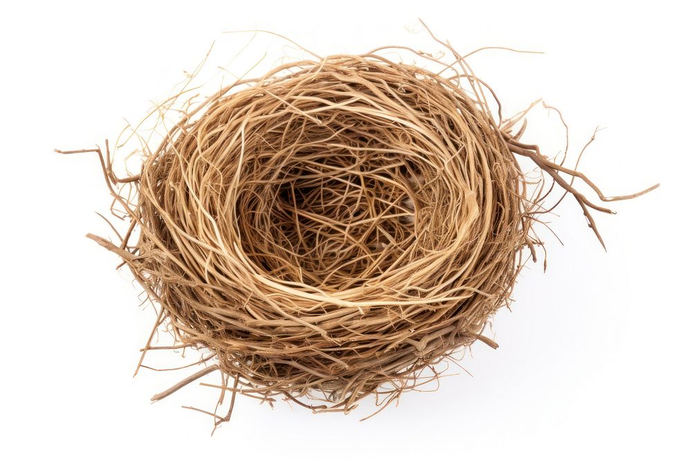 Nest fragility haystack circle. AI generated Image by rawpixel.