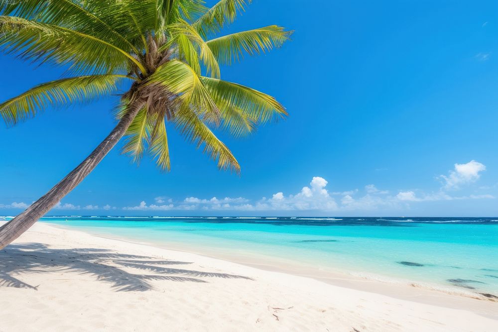 Sunny tropical caribbean outdoors tropics horizon. AI generated Image by rawpixel.