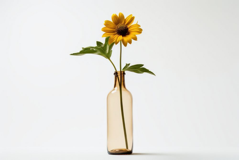 Recycling flower sunflower bottle. AI generated Image by rawpixel.