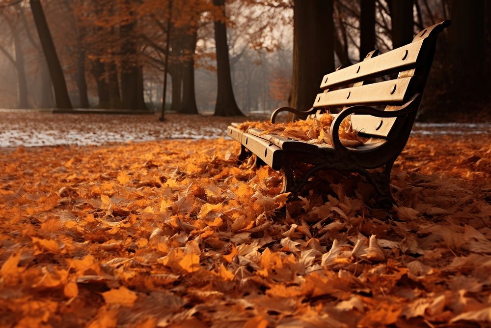 Autumn leaf plant bench. AI generated Image by rawpixel.