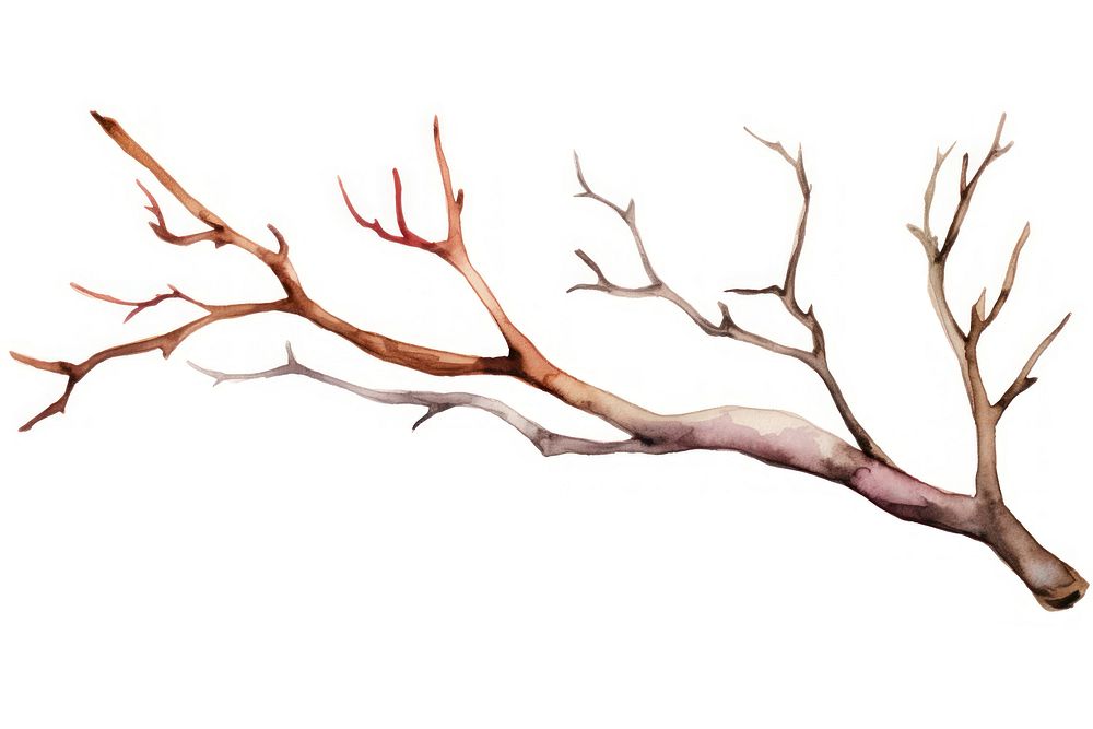 Branch antler white background tranquility. AI generated Image by rawpixel.