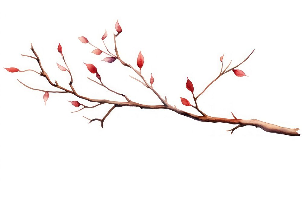 Branch plant white background blossom. AI generated Image by rawpixel.