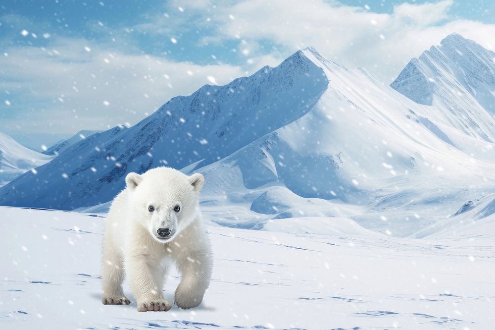 Polar cub animal mammal nature remix