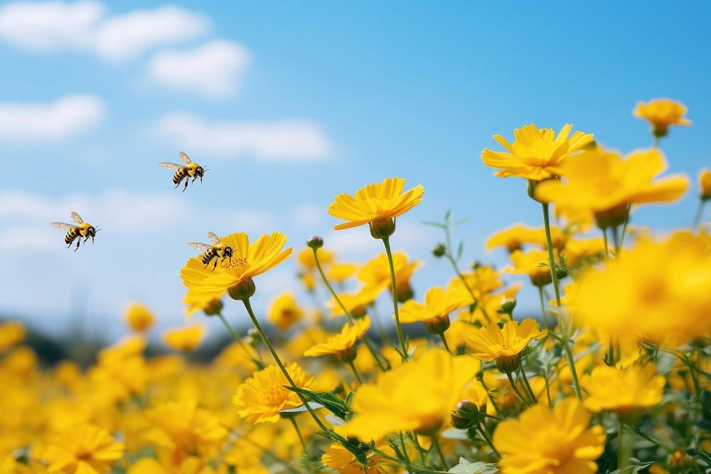Flowers & bees animal wildlife nature remix