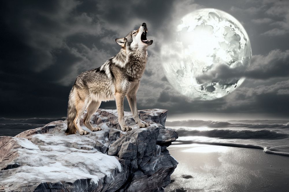 Wolf howling animal wildlife nature remix