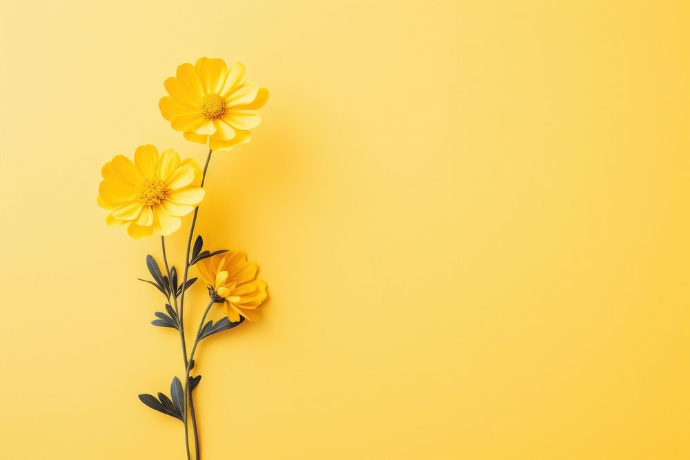 Yellow floral plant inflorescence wildflower. AI generated Image by rawpixel.