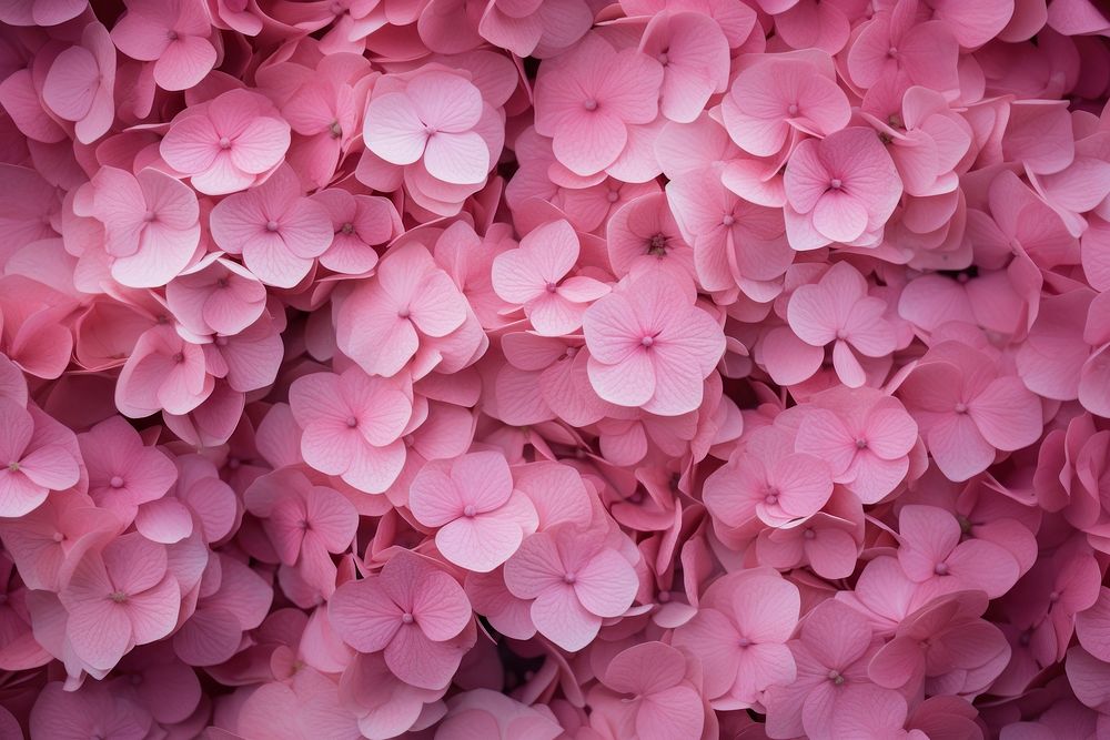 Pink floral backgrounds flower petal. AI generated Image by rawpixel.