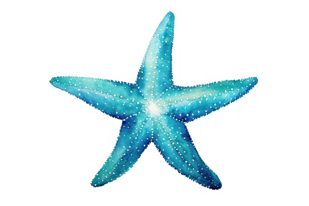 Starfish blue white background invertebrate. AI generated Image by rawpixel.